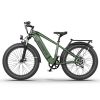 AOSTIRMOTOR New Pattern King 26" 1000W Electric Bike 26in Fat Tire 52V15AH Removable Lithium Battery for Adults KING